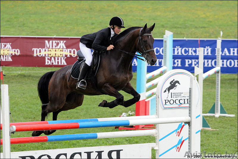 Катание на лошадях, тренажерный зал, сауна - Изображение #1, Объявление #1336538