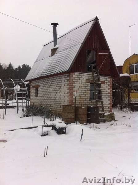 Дача, Могилевский район - Изображение #3, Объявление #1614851
