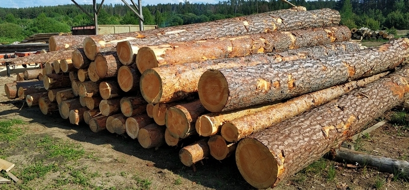 Лес-кругляк: ель, сосна.  - Изображение #1, Объявление #1649174