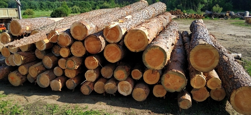 Лес-кругляк: ель, сосна.  - Изображение #2, Объявление #1649174