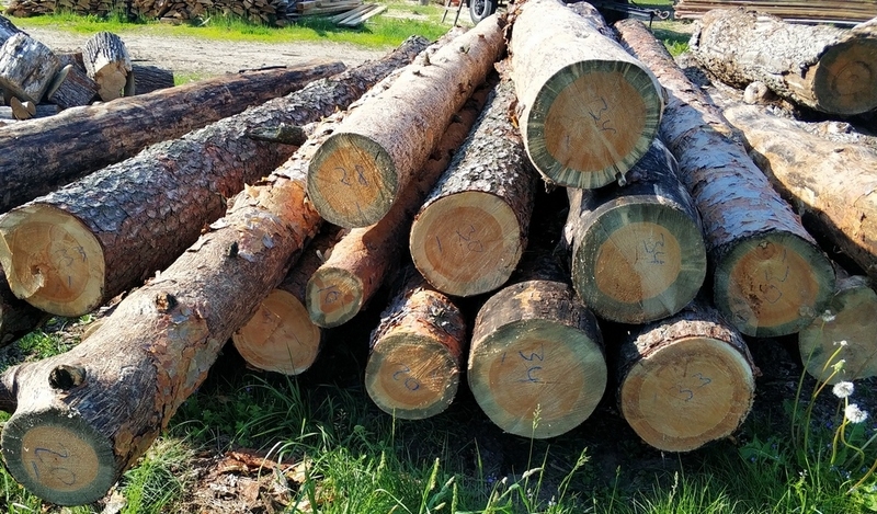 Лес-кругляк: ель, сосна.  - Изображение #3, Объявление #1649174